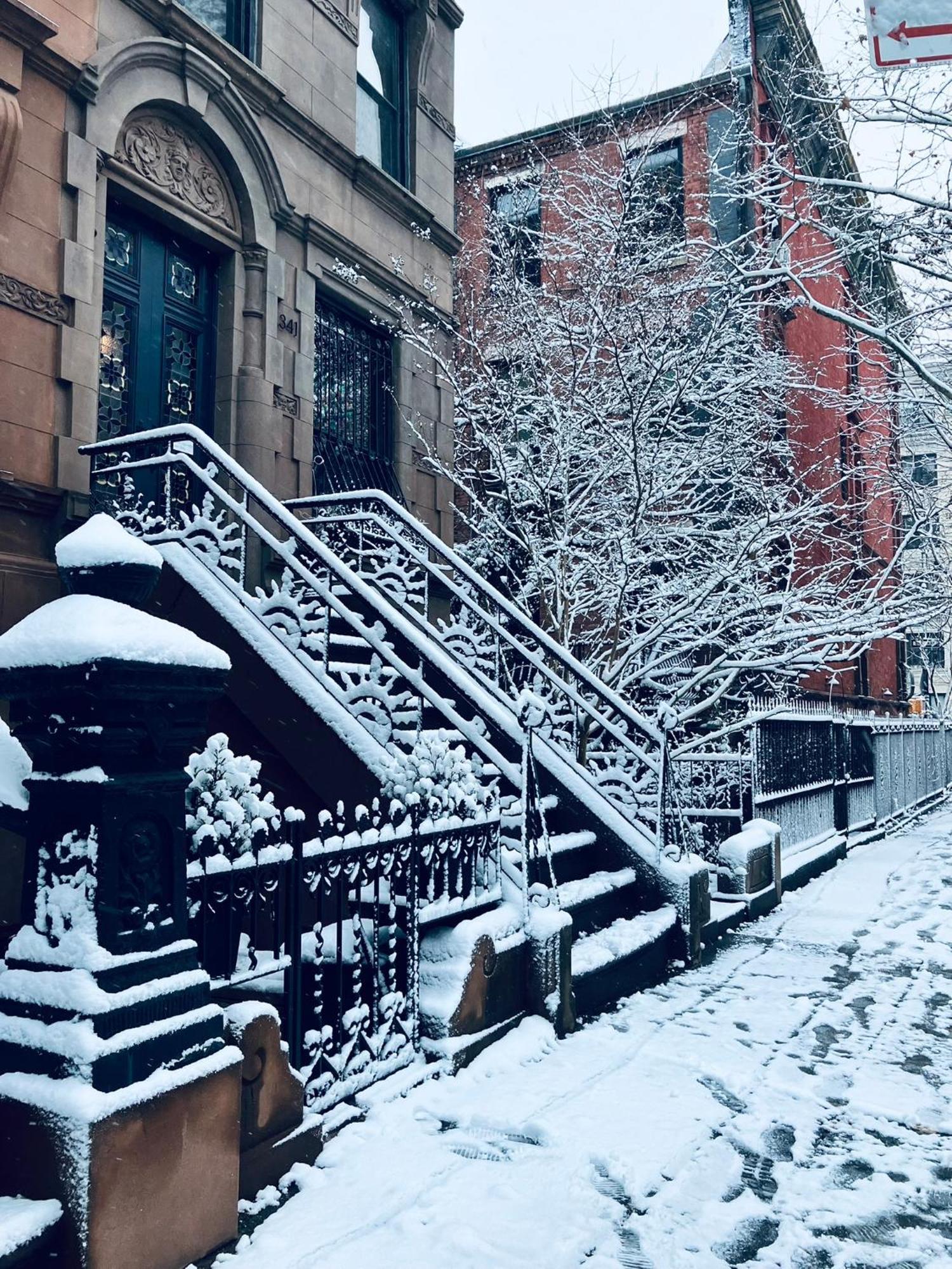 Harlem Grand Katil